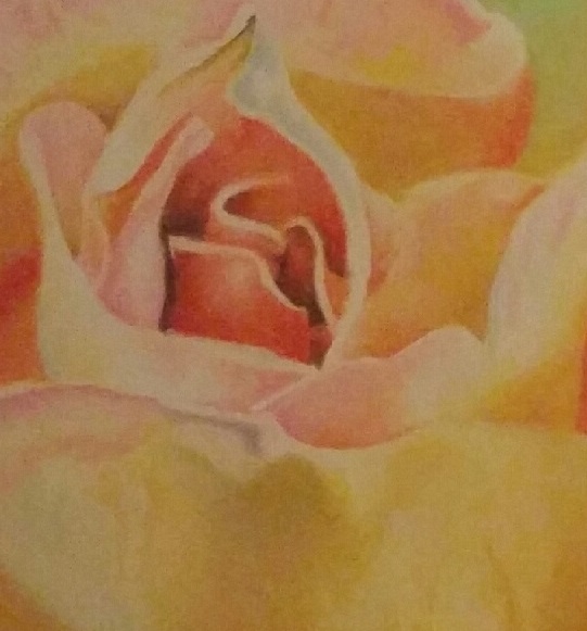 image05